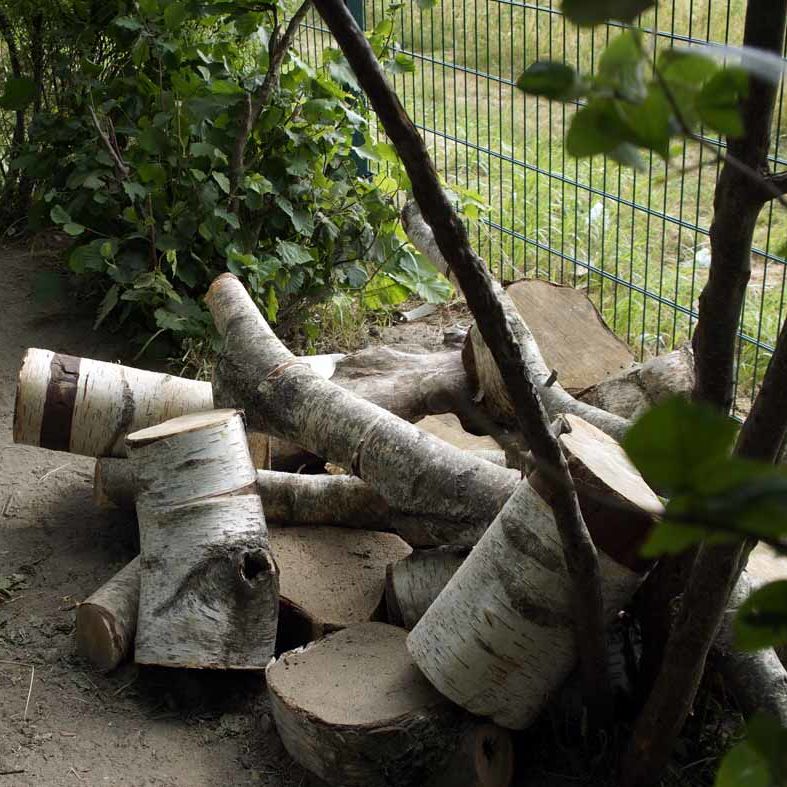 Mit Baumscheiben kann man phantasievoll spielen